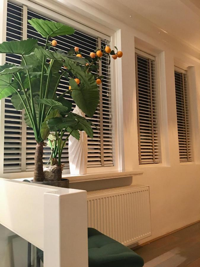 Vakantiehuis De Zeeparel Zandvoort Exteriér fotografie